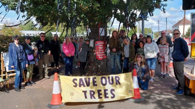 The oak tree was a site of protest before it was felled