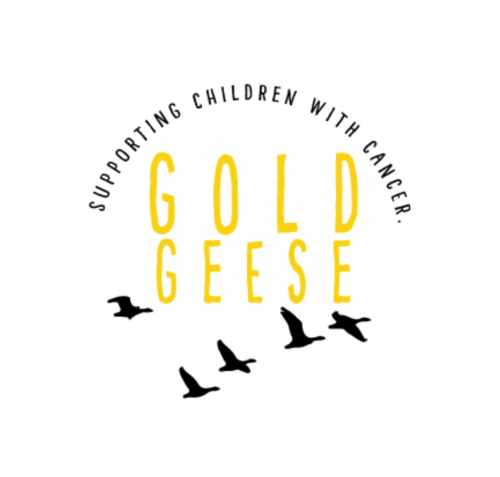 The Gold Geese Nuclear Races event is a private mud run with obstacles, where participants will wade through muddy trenches, whizz down slides and navigate rope ladders and swings to complete the 2k course.