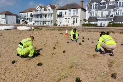 LIFEGUARDS stationed at Chalkwell Beach joined forces with other volunteers and groups to conduct a large spring clean of the beach, and make it sparkle.