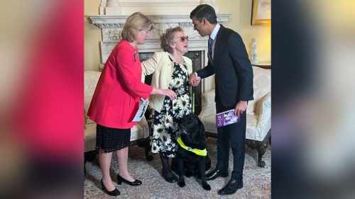 Raising Jagger’s plight in the House of Commons the Southend West MP called on the Government to improve access to guide dogs.