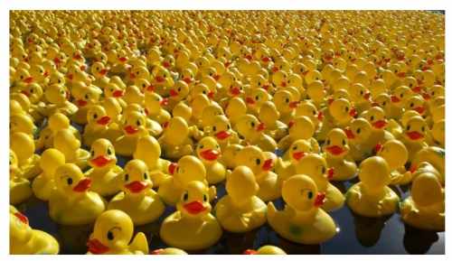 Leigh On Sea News. OLD Leigh will be invaded by nearly 1,500 rubber ducks on Sunday July 9, when the Lions Charity Duck Race is due to place.
