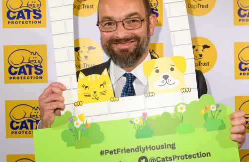 Leigh On Sea News. Pet-friendly Renting Support - THE MP for Rochford and Southend East, has lent his support to new pet-friendly rental laws.