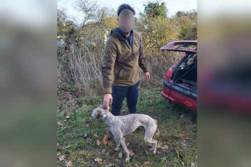 Leigh On Sea News. Hare Coursing Arrests - TWO men who travelled to an area Rochford to hunt hares with dogs are the first in Essex to be sentenced under a new law. 