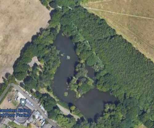 Leigh On Sea News: Fishing Lake Tragedy - A MAN has died after struggling in water at a fishing lake in Eastwood.