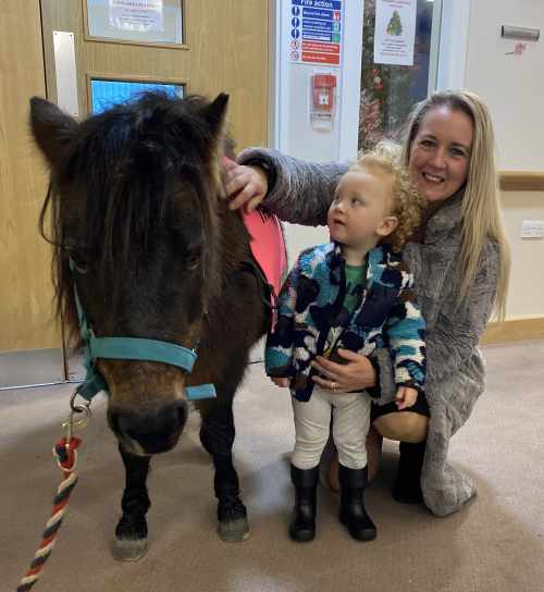 Leigh On Sea News: ‘Secret ‘ Therapy Pony - CARE home residents, their families, and staff received a festive visit from Secret, the therapy pony.