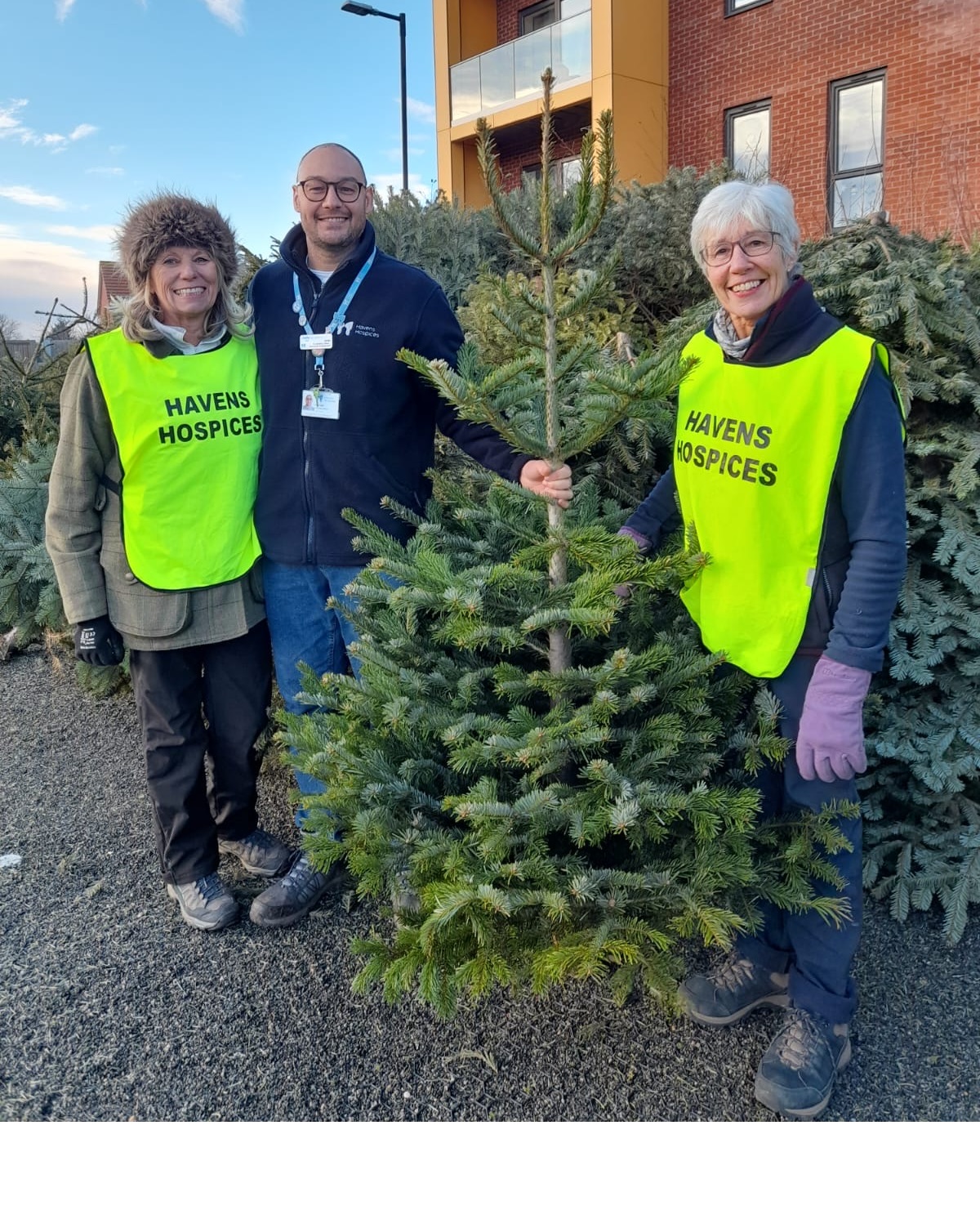 Leigh On Sea News: Tree-Cycling £14K - HAVENS Hospices has successfully turned trees into care once more, collecting 1150 real Christmas trees from homes across south Essex.